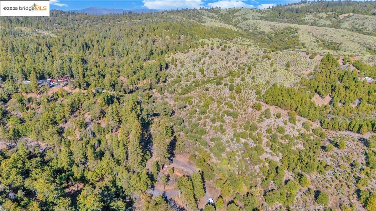 0000 Jackass Creek Rd, Groveland