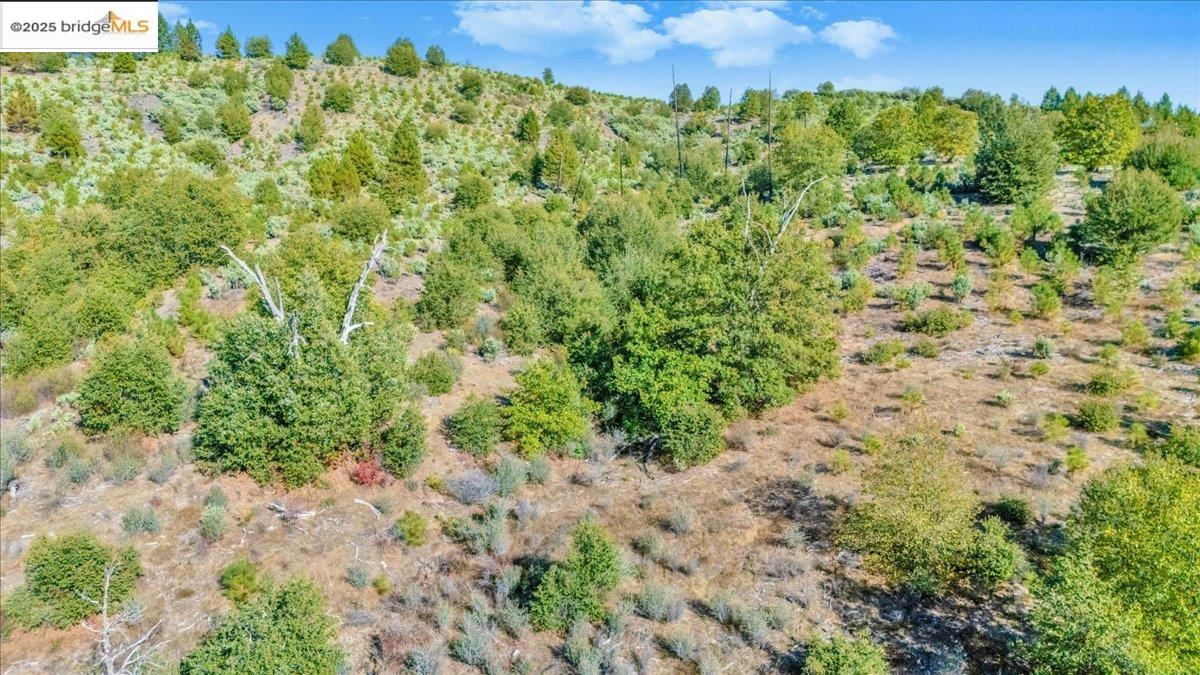 0000 Jackass Creek Rd, Groveland