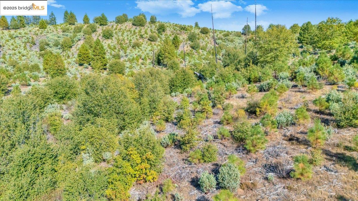 0000 Jackass Creek Rd, Groveland