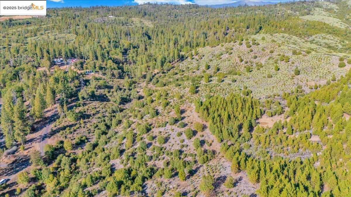 0000 Jackass Creek Rd, Groveland