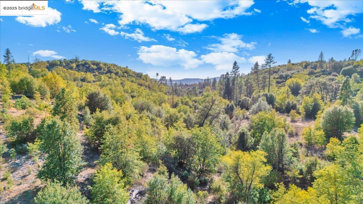 00 Jackass Creek Rd, Groveland