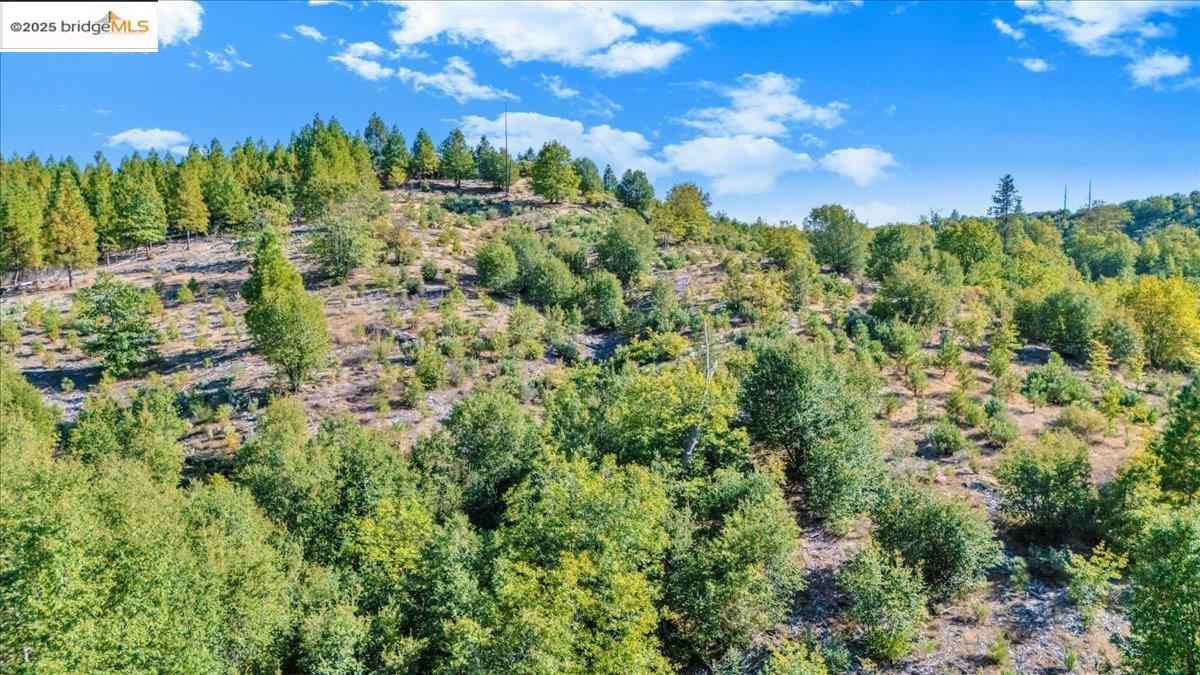 00 Jackass Creek Rd, Groveland