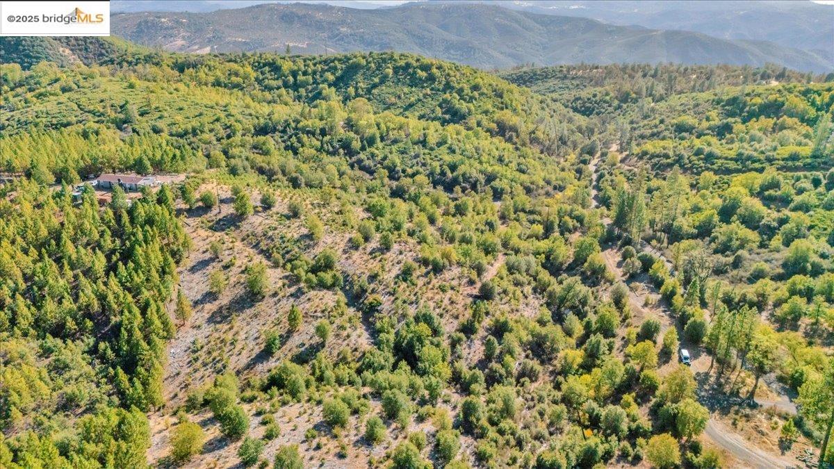 00 Jackass Creek Rd, Groveland