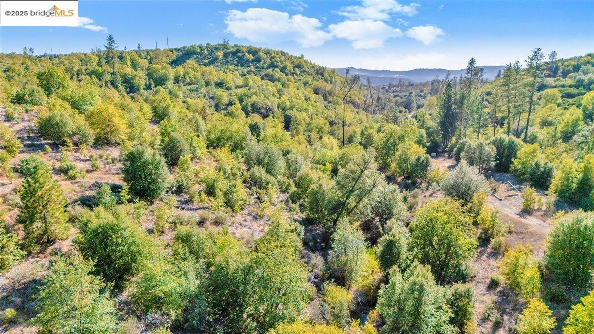 00 Jackass Creek Rd, Groveland