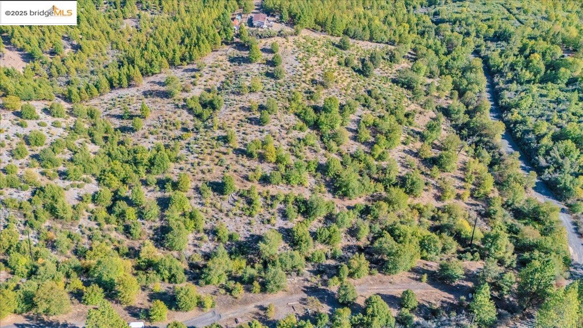 00 Jackass Creek Rd, Groveland