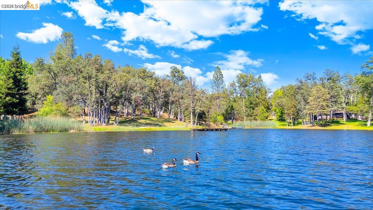 14781 Lakeside Dr