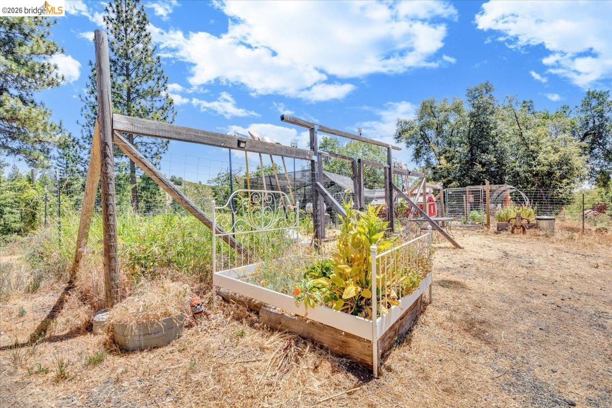 9935 Jackass creek Rd