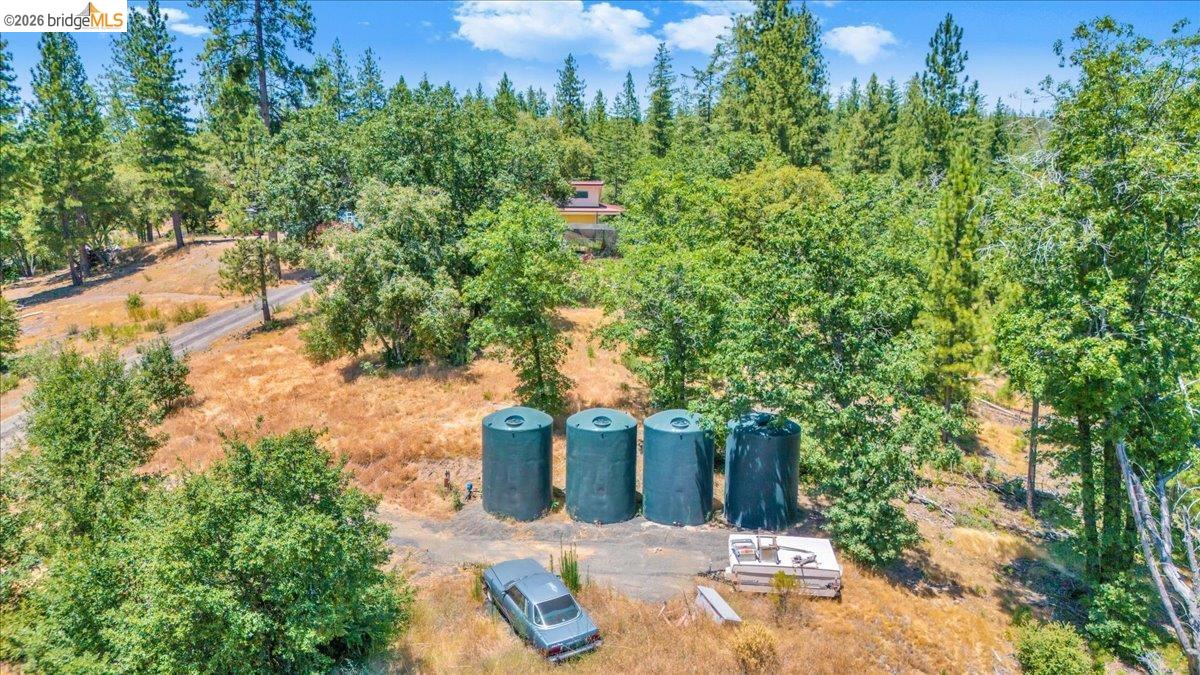 9935 Jackass creek Rd