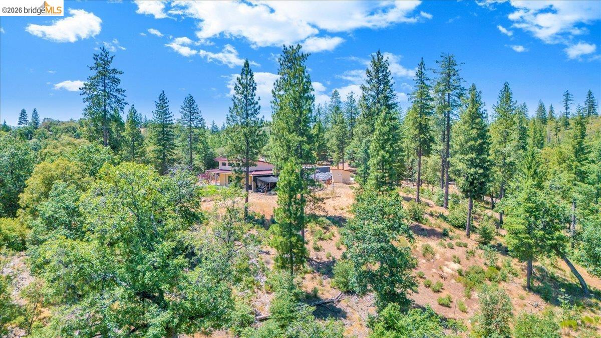 9935 Jackass creek Rd