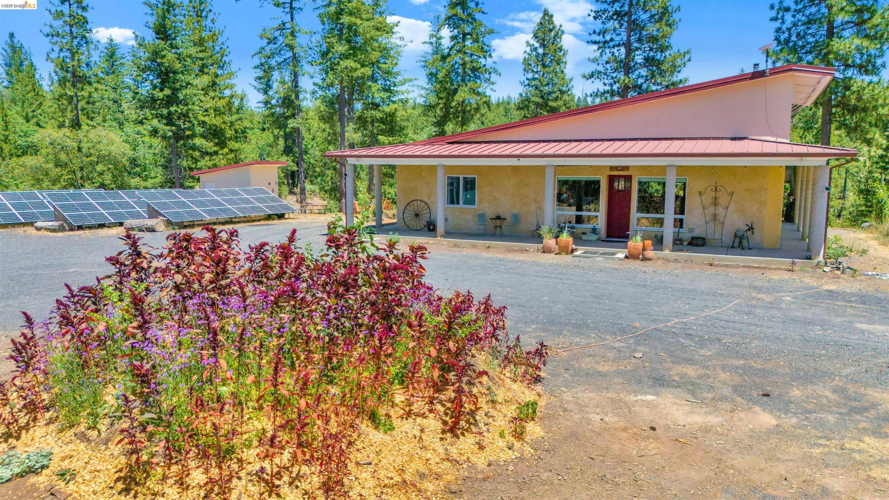 9935 Jackass creek Rd