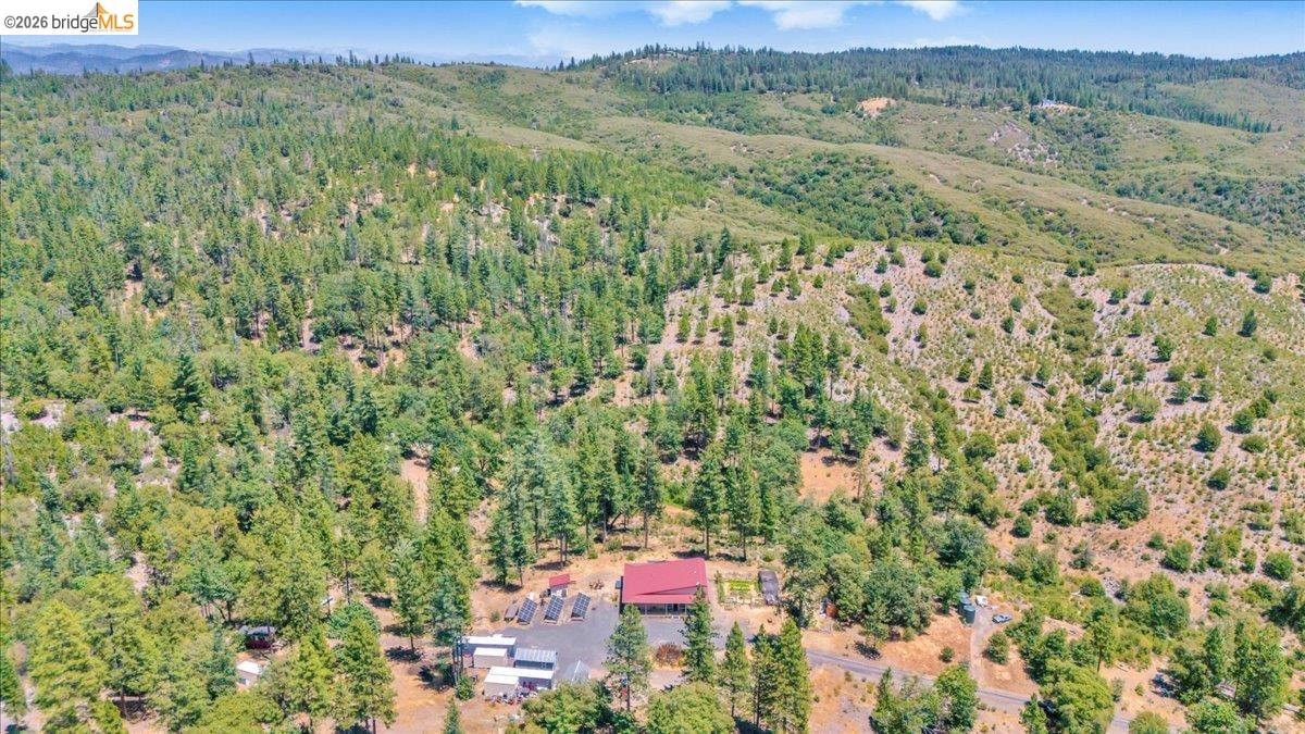 9935 Jackass creek Rd