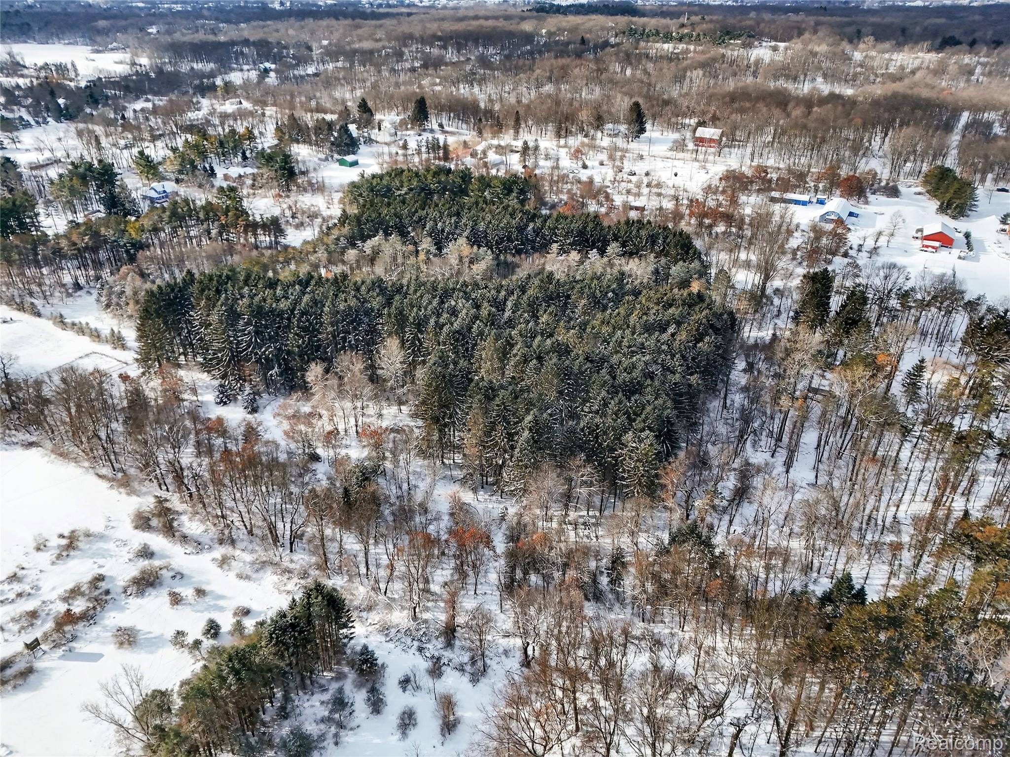 9624 Bridge Lake Road