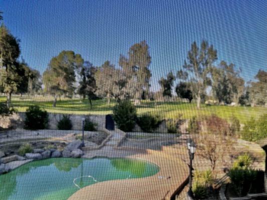 26225 Club Drive