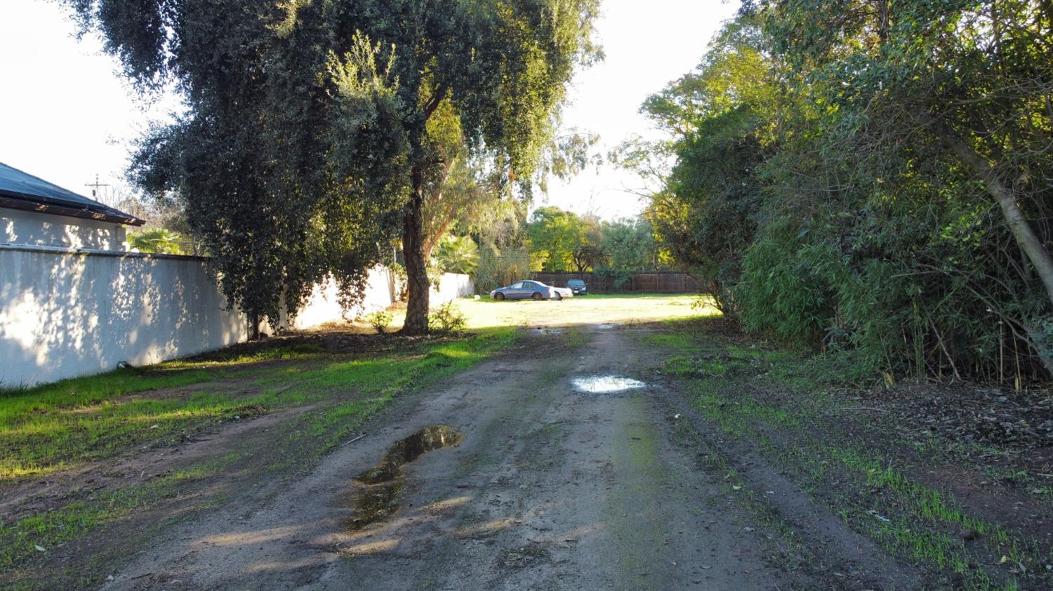 1 Palm Avenue