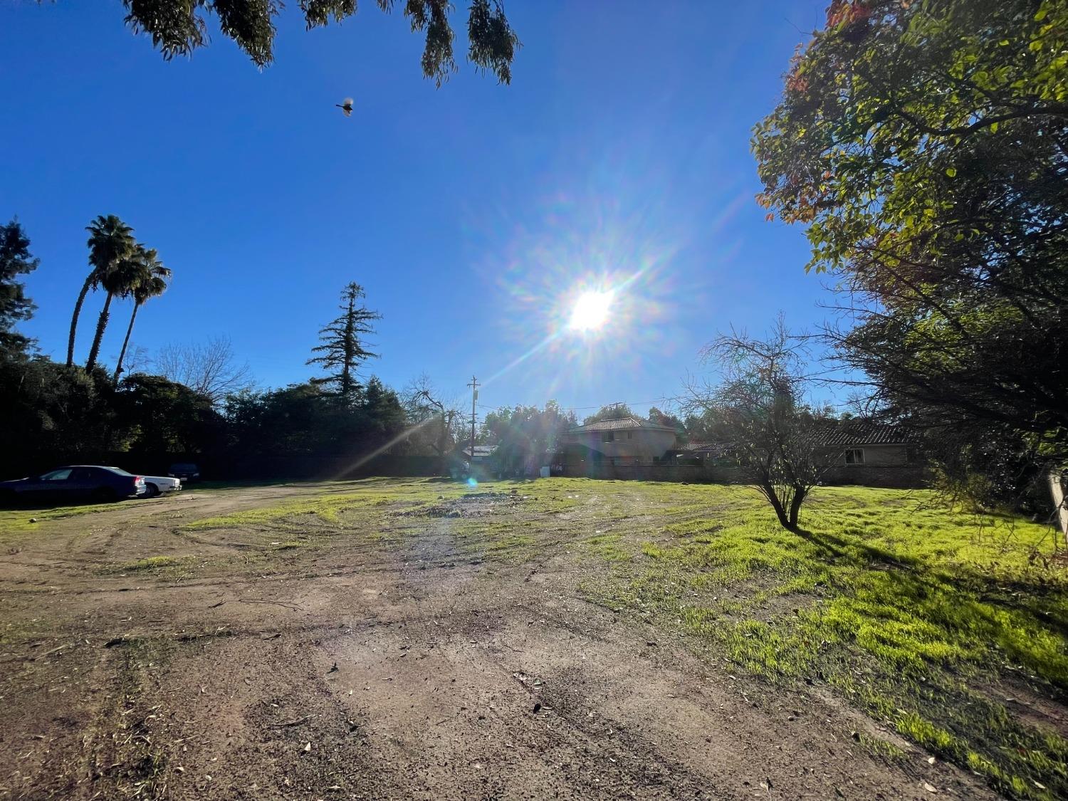 1 Palm Avenue