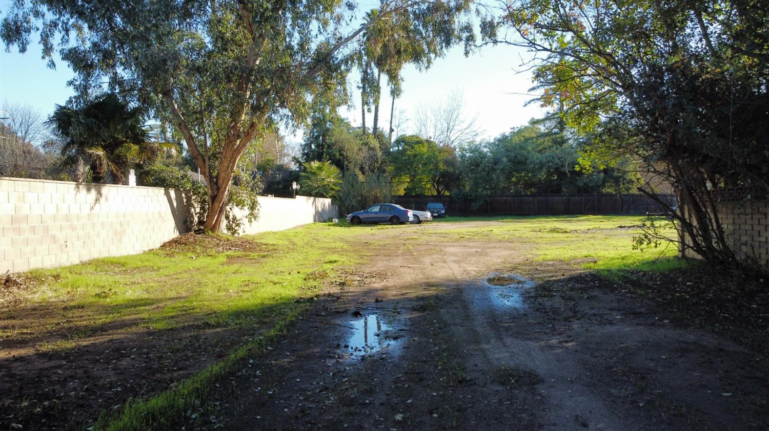 1 Palm Avenue