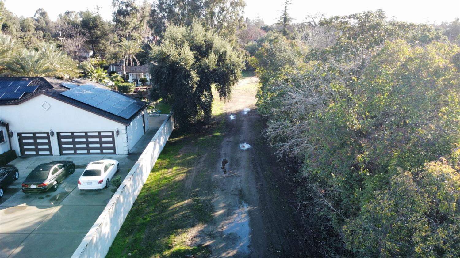 1 Palm Avenue