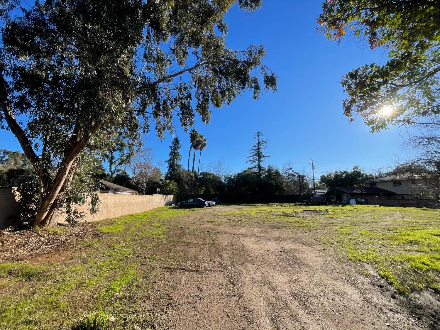 1 Palm Avenue