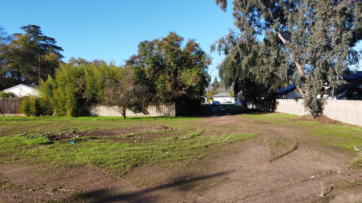 1 Palm Avenue