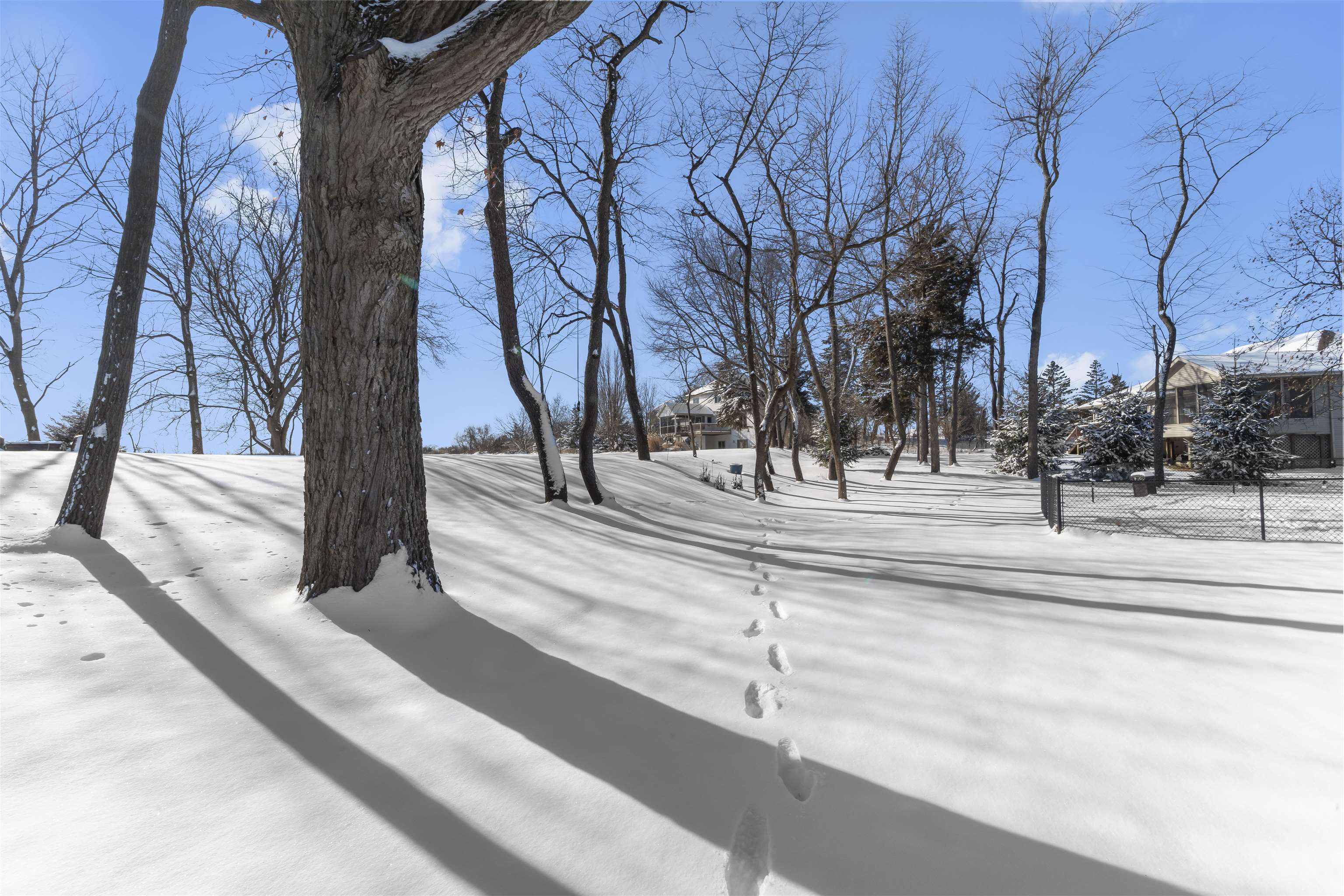 W9221 Forested Road