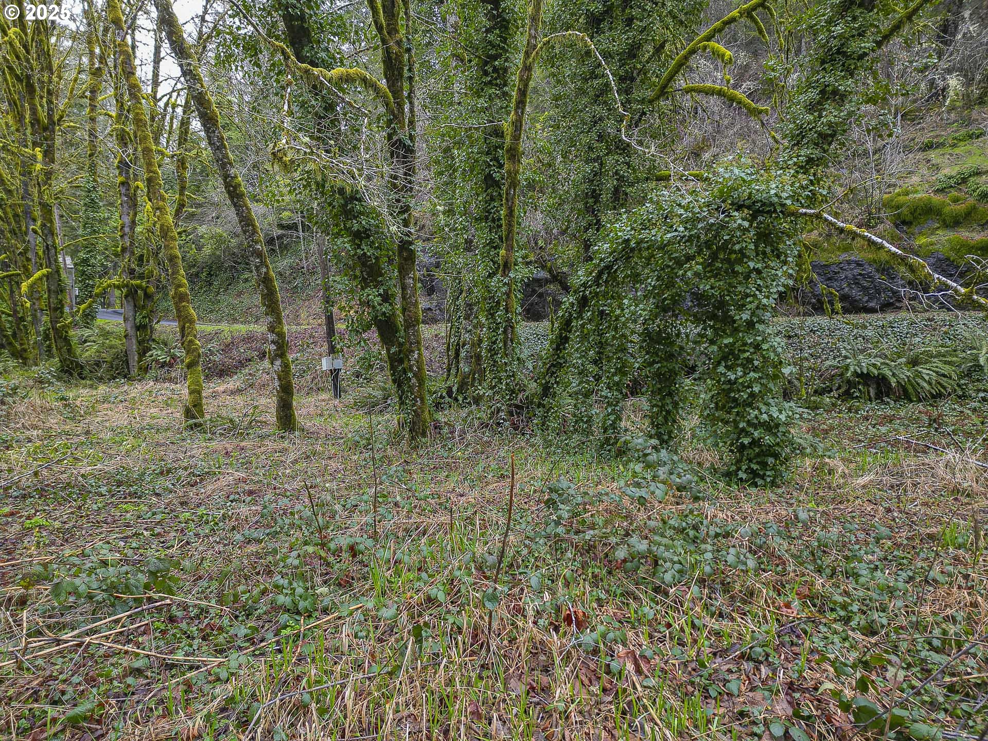 0 N Slick Rock Creek RD 00400