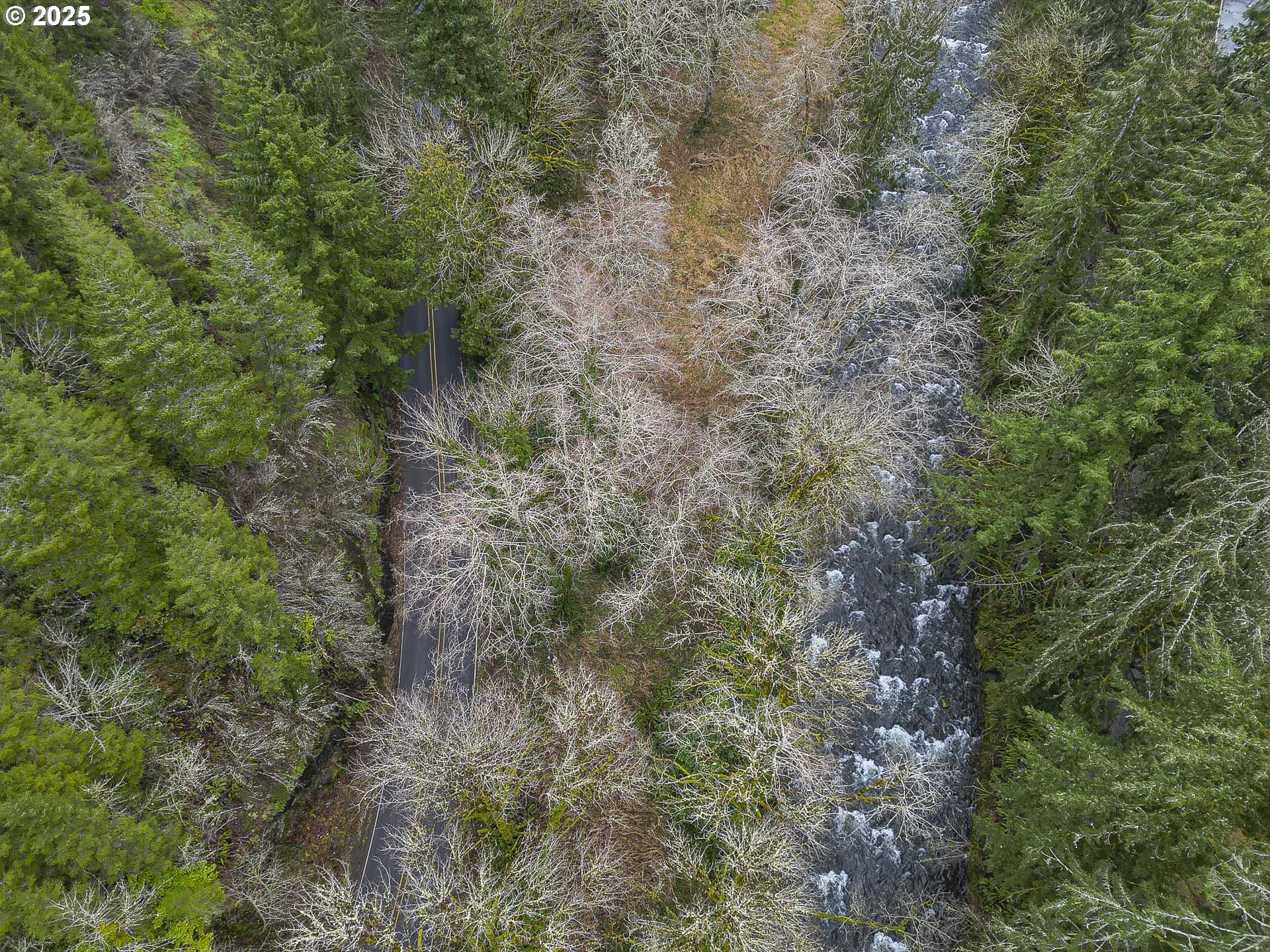 0 N Slick Rock Creek RD 00400