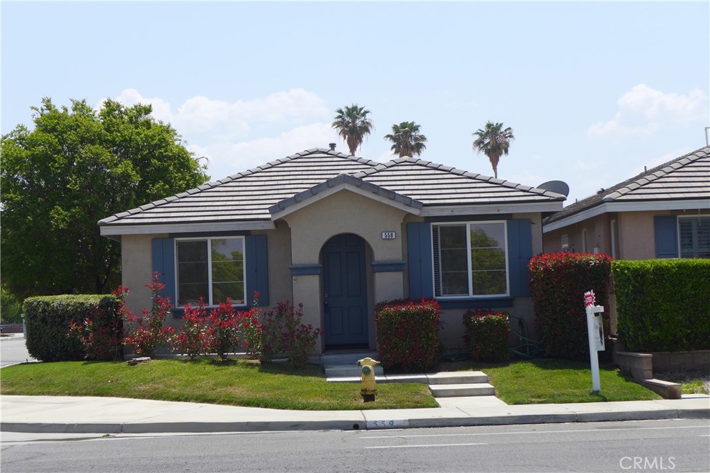 559 Palm
