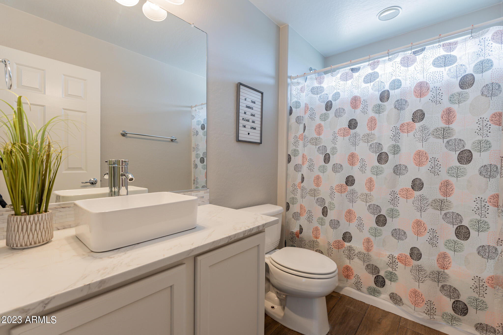 2519 W DESERT VISTA Trail
