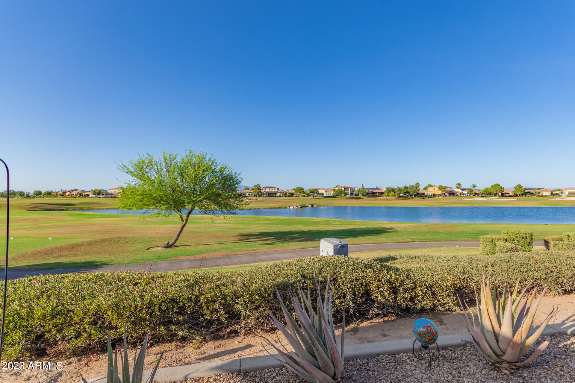 36245 N CLIMBING VINE Drive