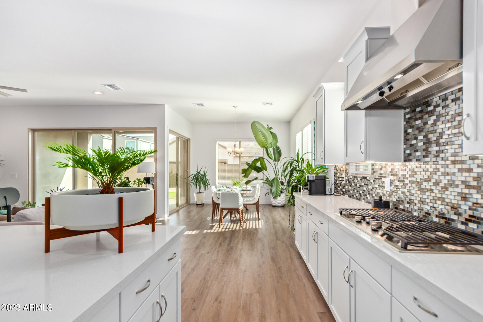 1461 E SAN CARLOS Way