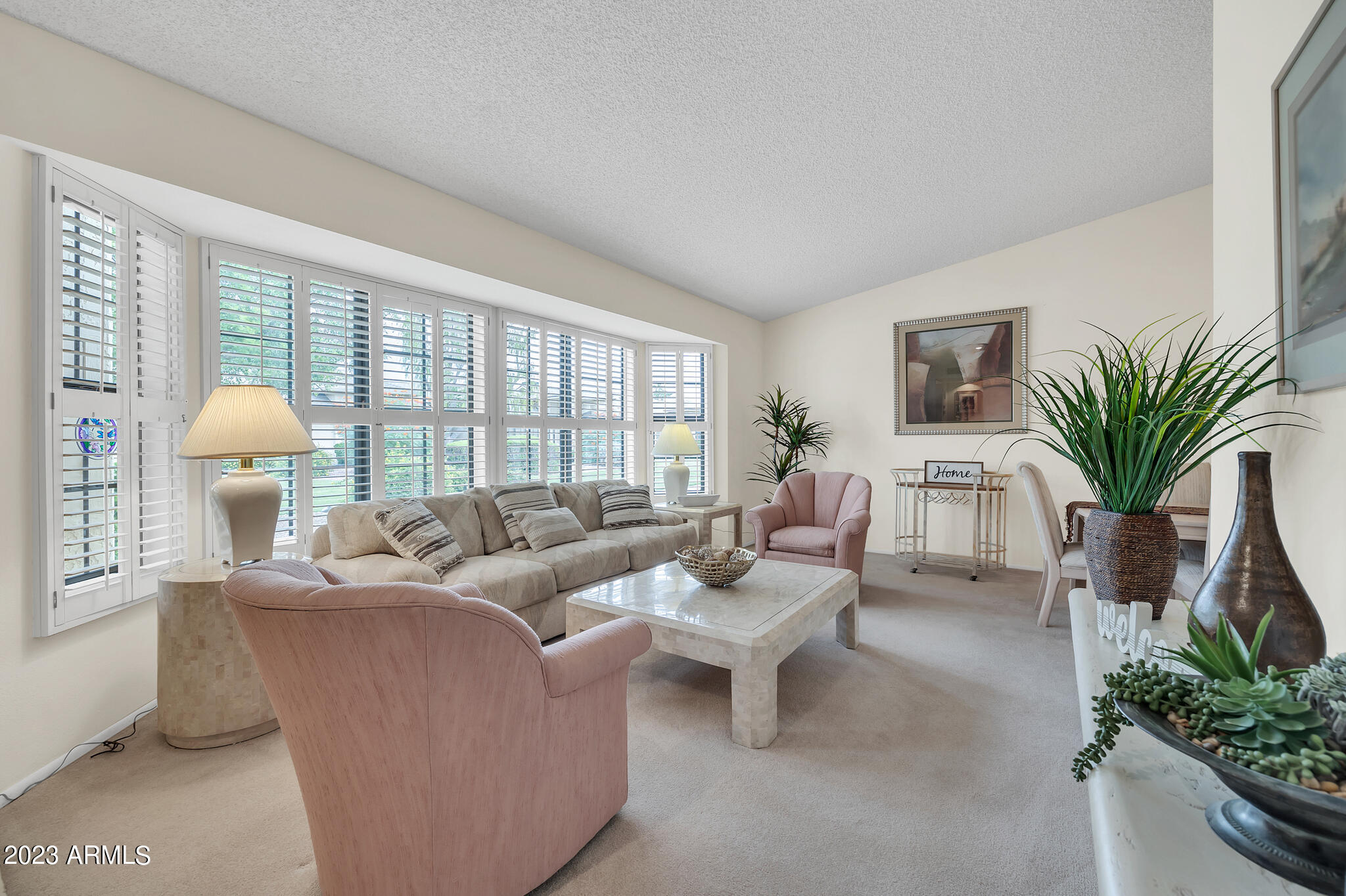 20205 N BROKEN ARROW Drive