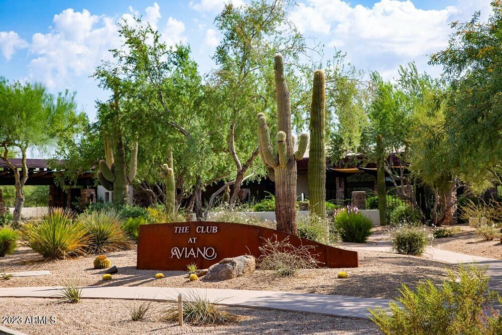 3935 E ROUGH RIDER Road, 1187