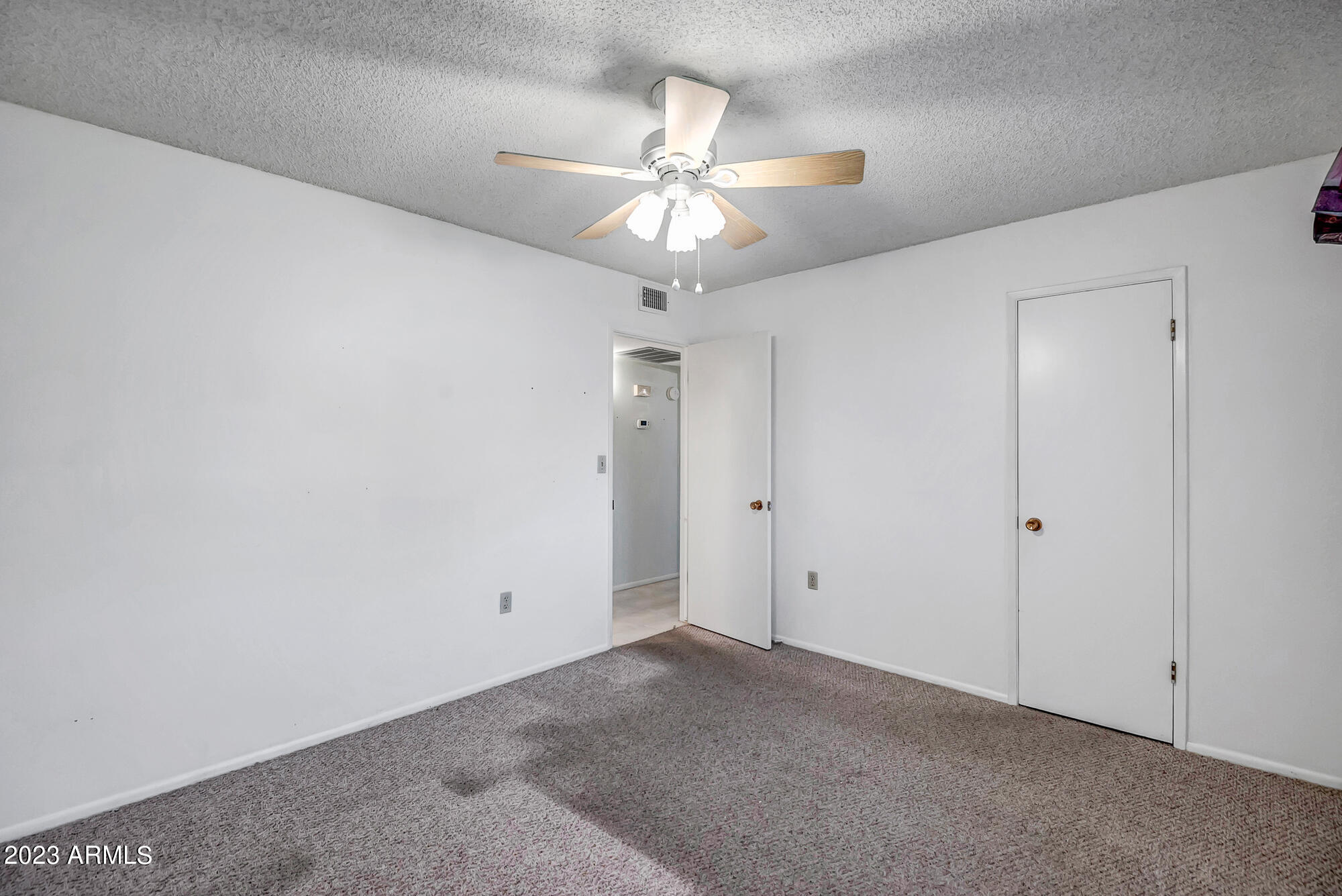 10317 W CORTE DEL SOL ESTE