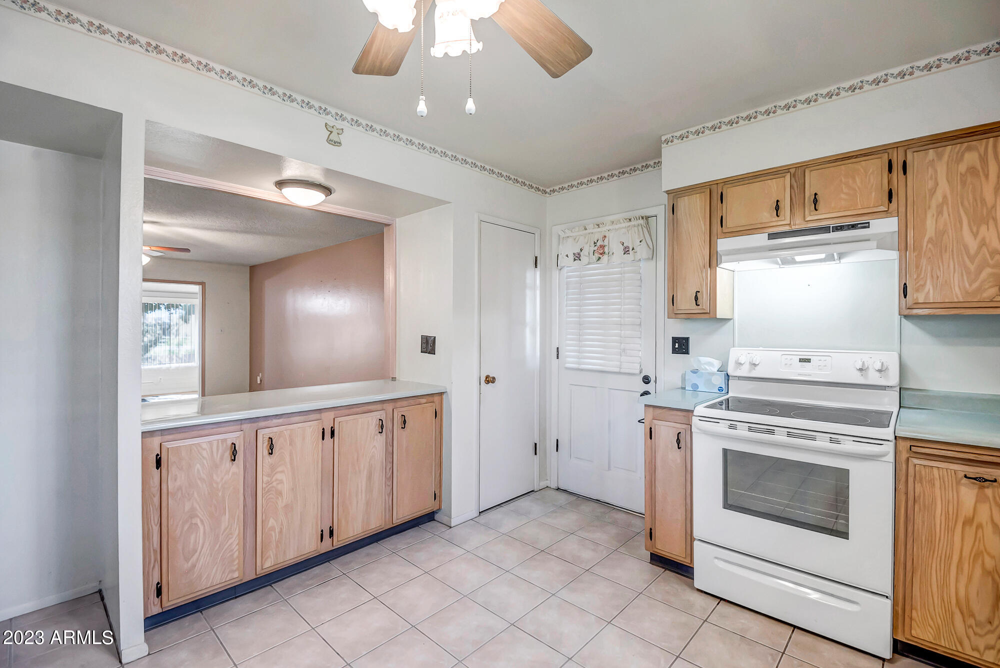 10317 W CORTE DEL SOL ESTE