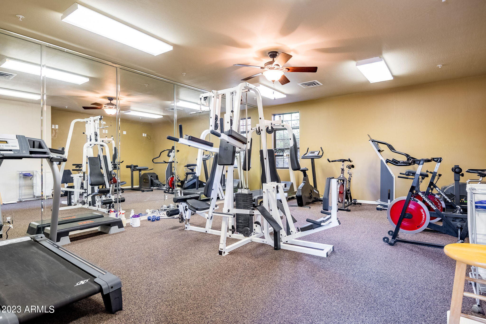 2403 QUARTER HORSE Trail # 239