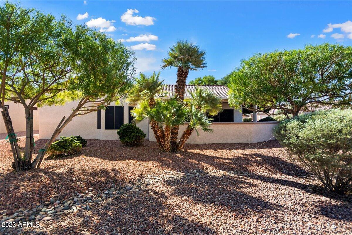 15656 W DESERT SPOON Way