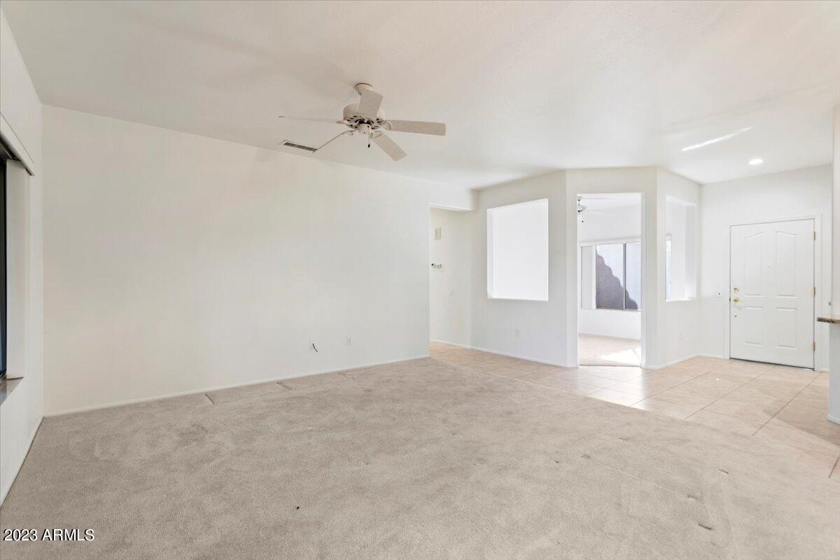15656 W DESERT SPOON Way