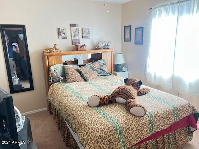 23767 N DESERT AGAVE Street