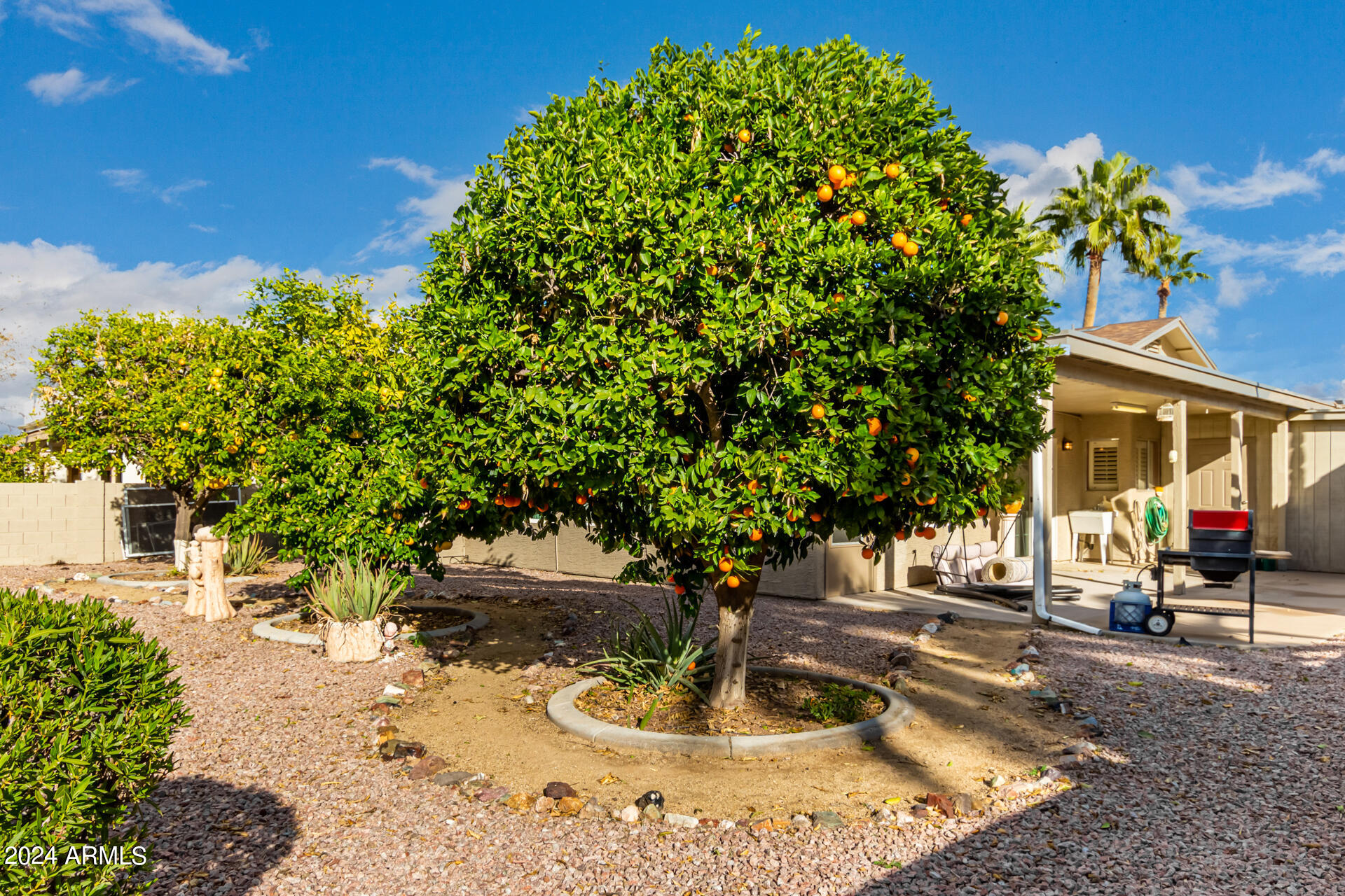 26014 S Foxglenn Drive
