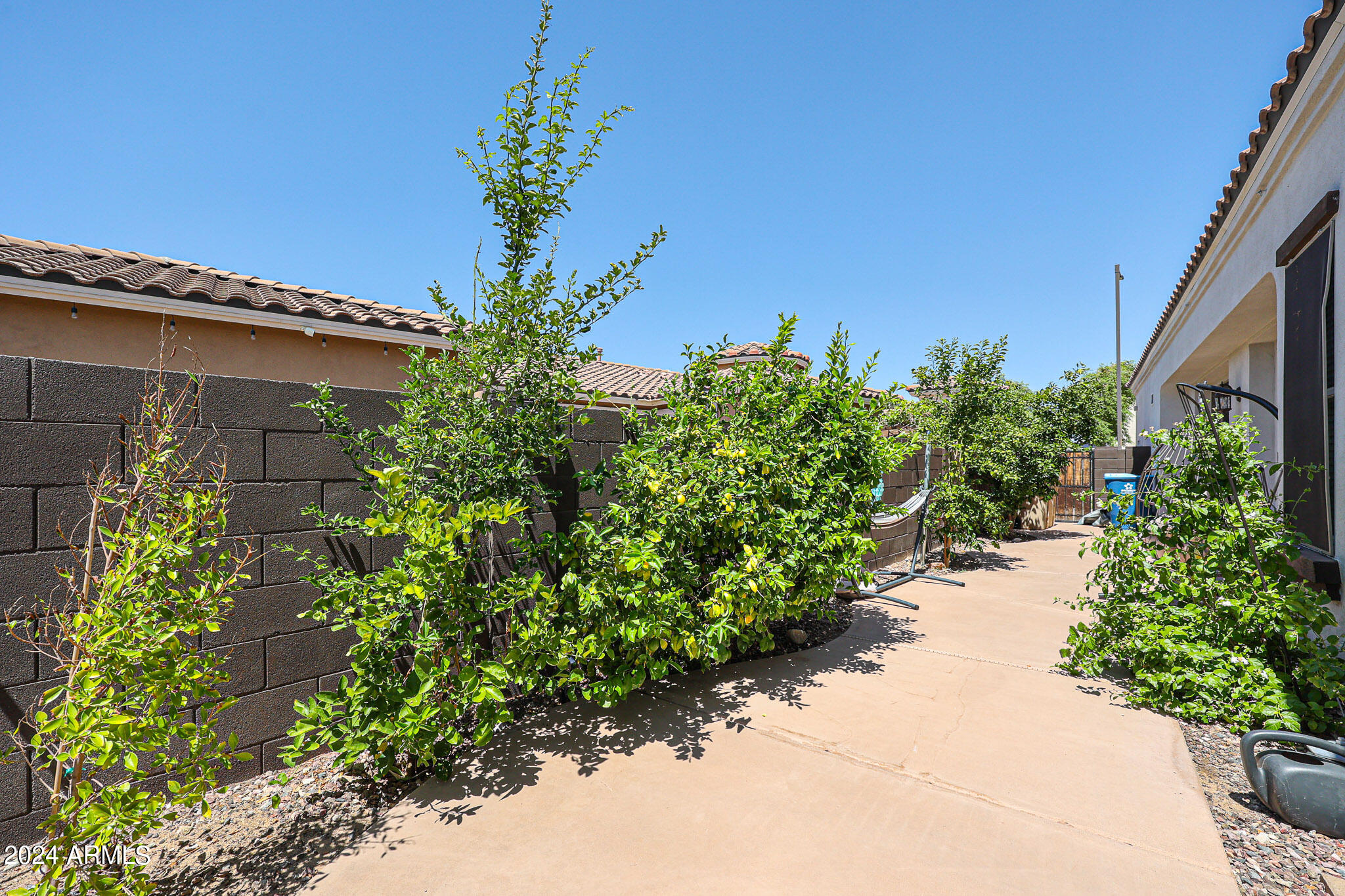 30009 W AVALON Drive