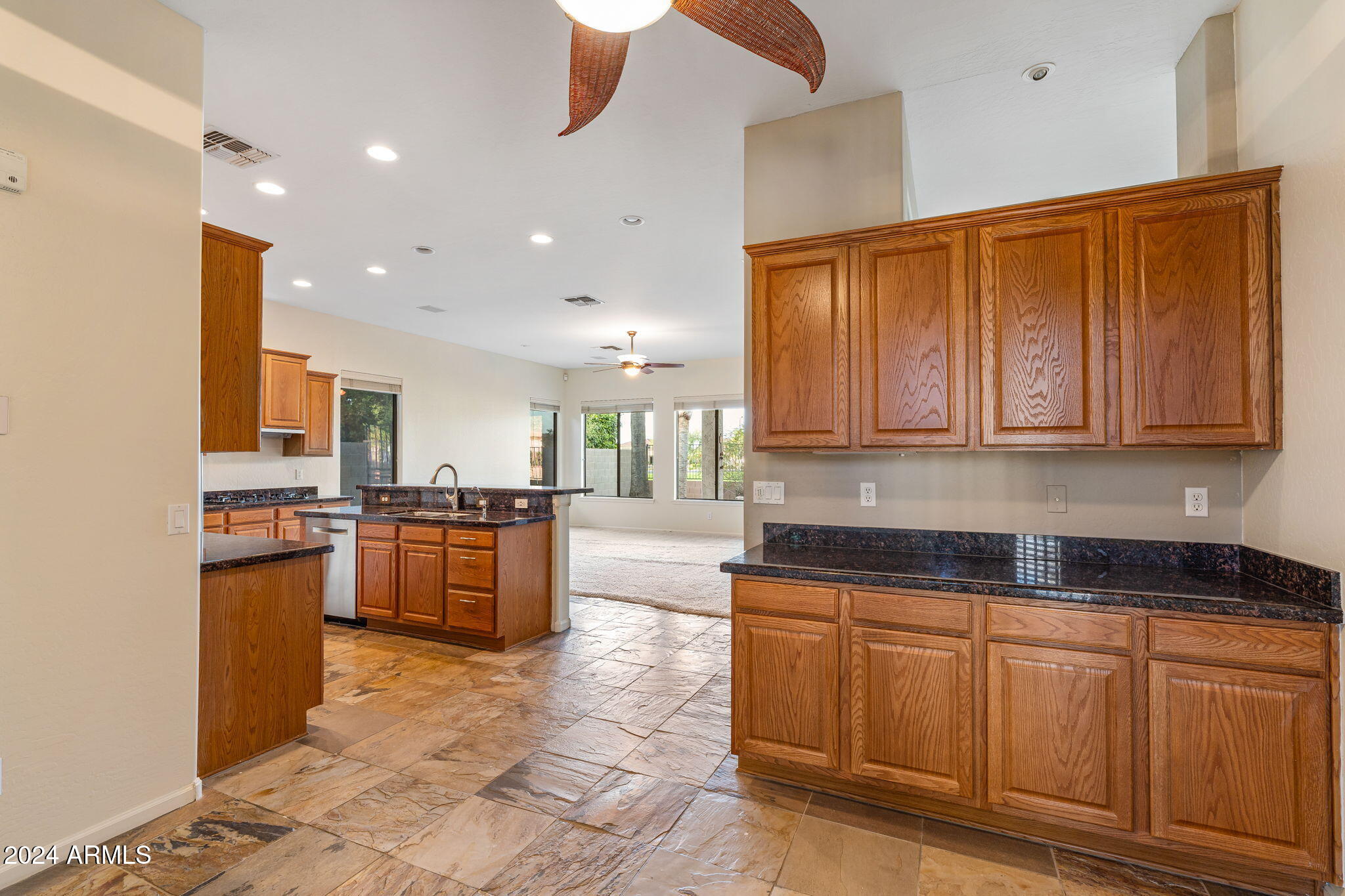 248 E JULIAN Drive