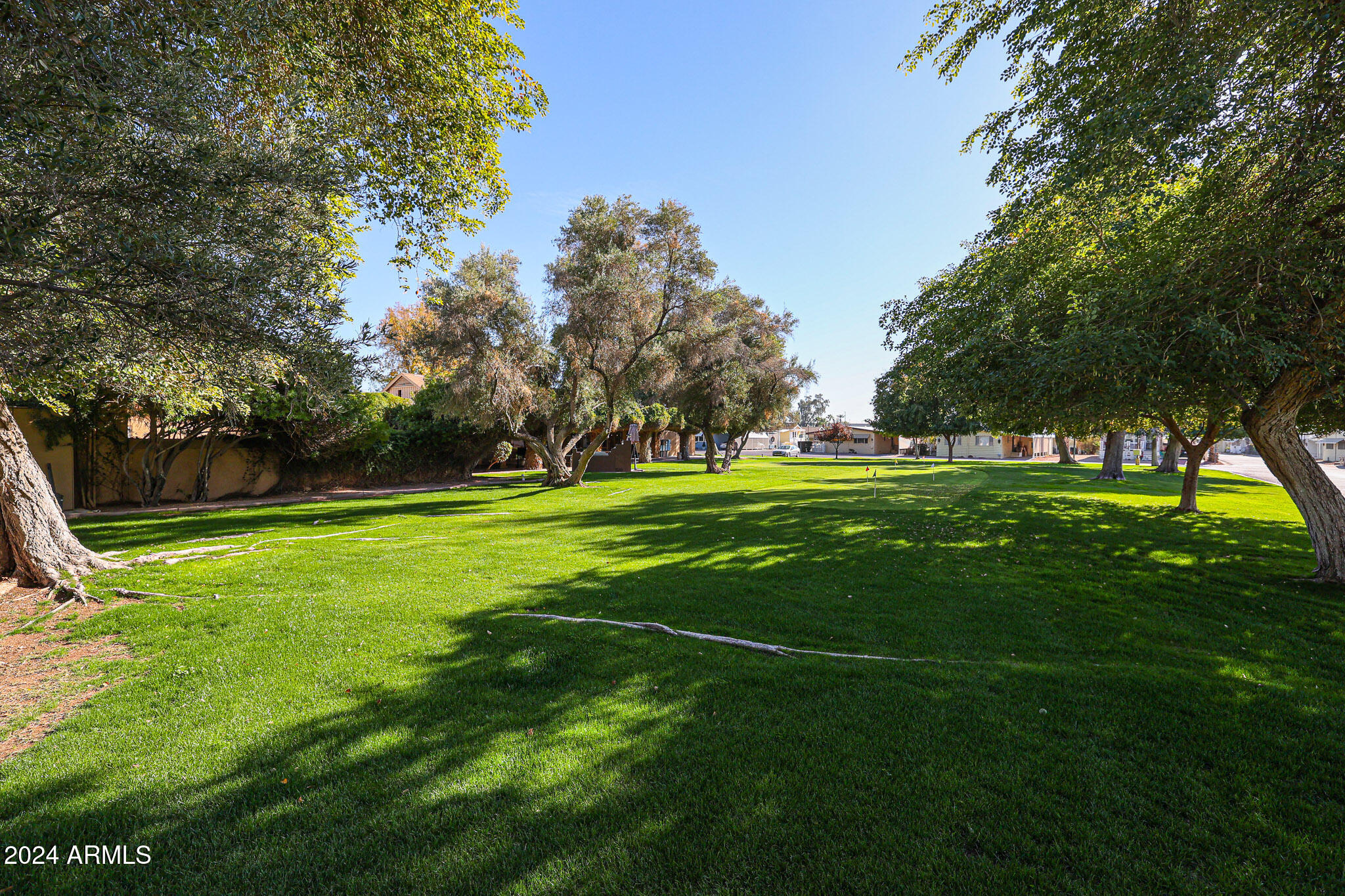 10960 N 67TH Avenue, #2