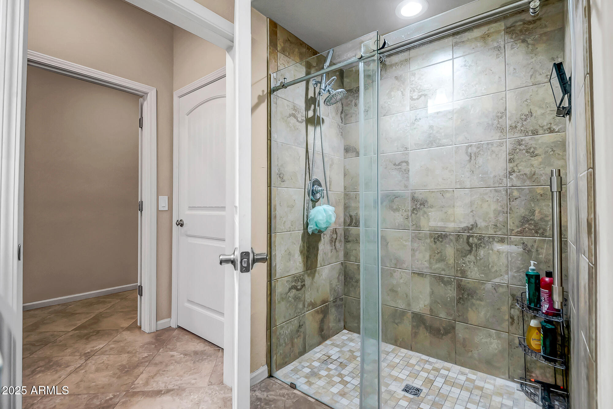 12243 W DESERT MOON Way