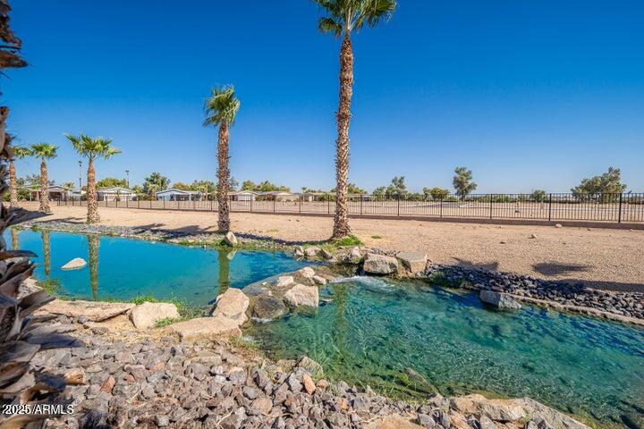 11201 N EL MIRAGE Road Unit: 1255