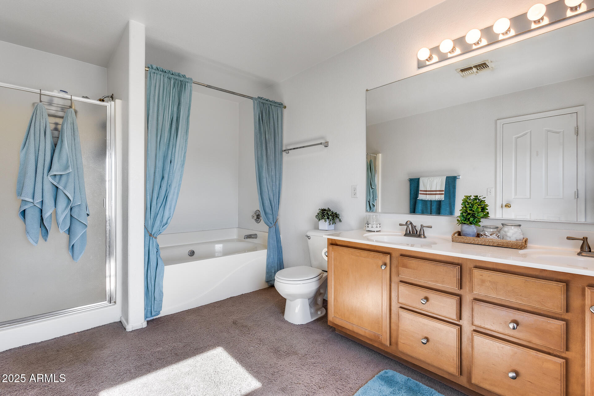 3215 W MOLLY Lane