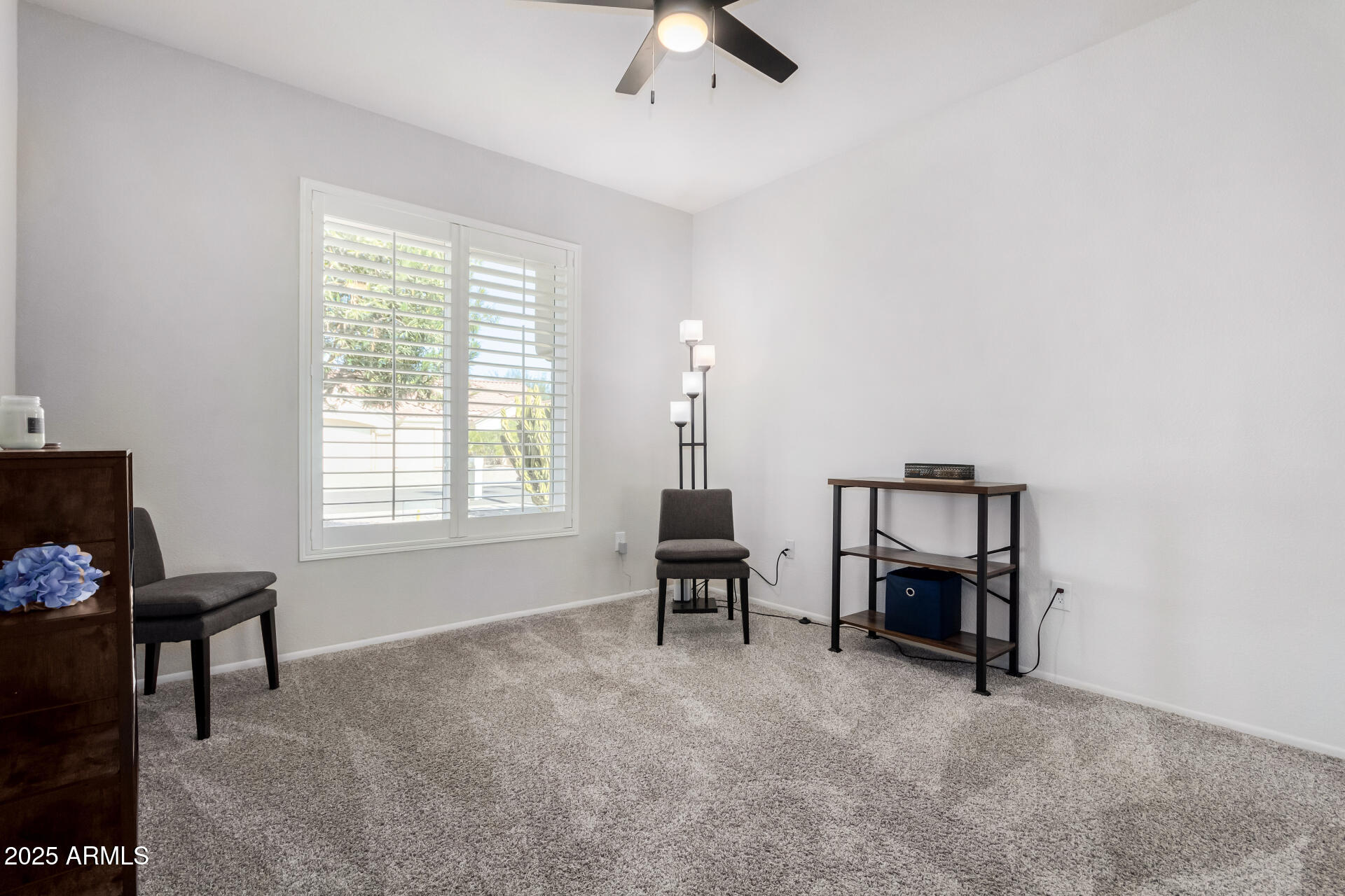 14223 W RICO Drive