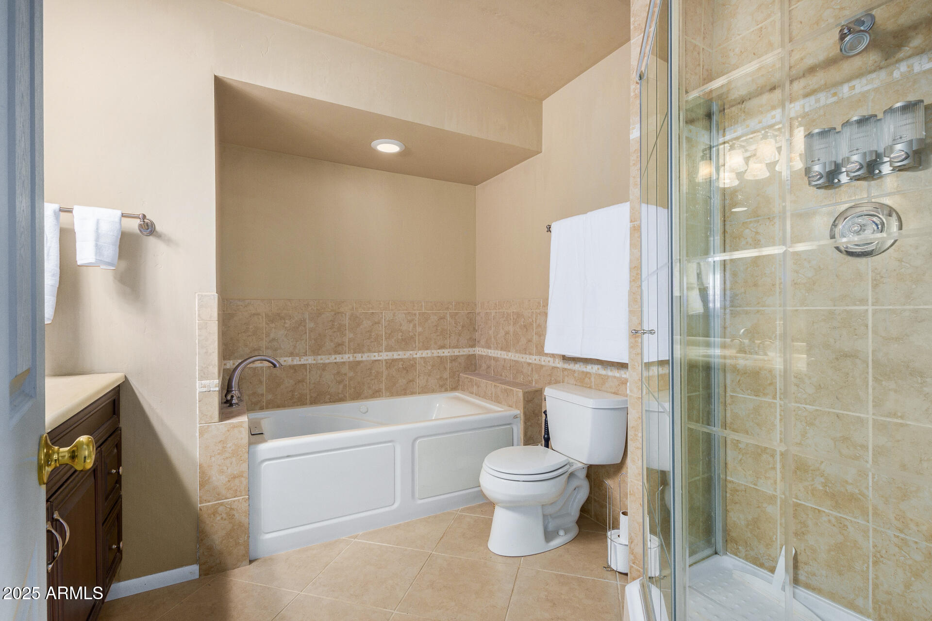 18006 N VILLA RITA Drive