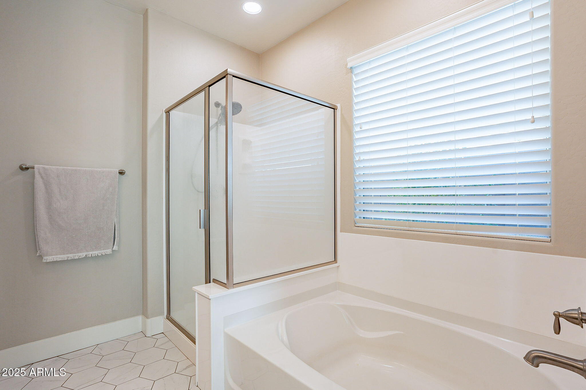 12133 W DESERT MOON Way