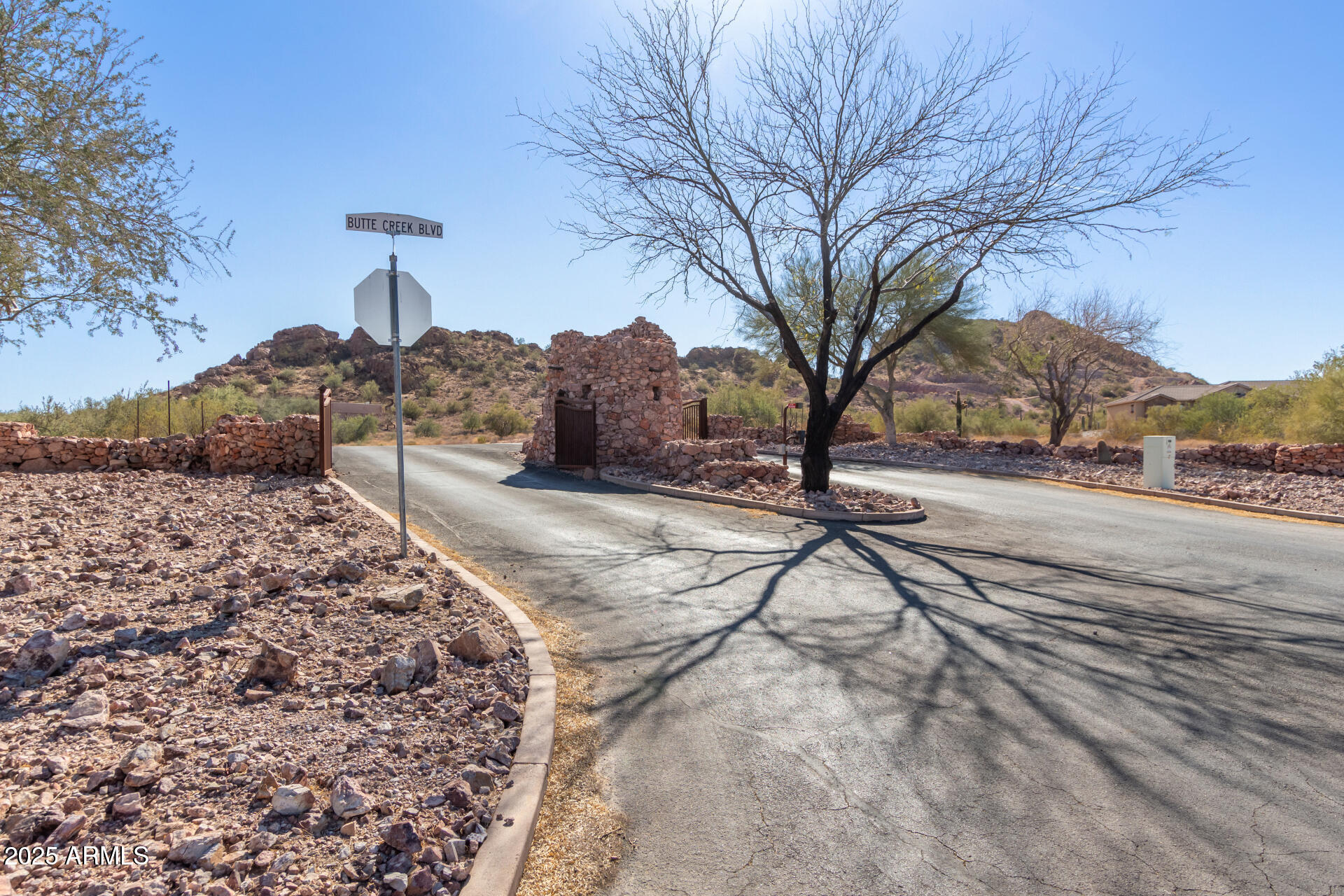 26547 N EL PEDREGAL Circle, 8