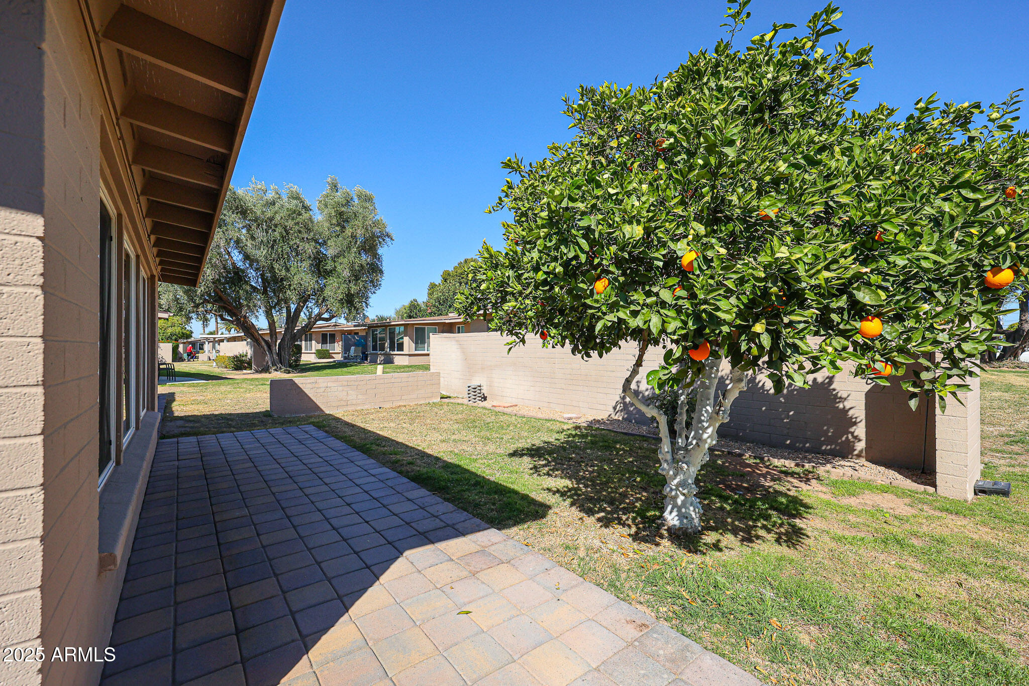 10310 W Corte Del Sol Este --